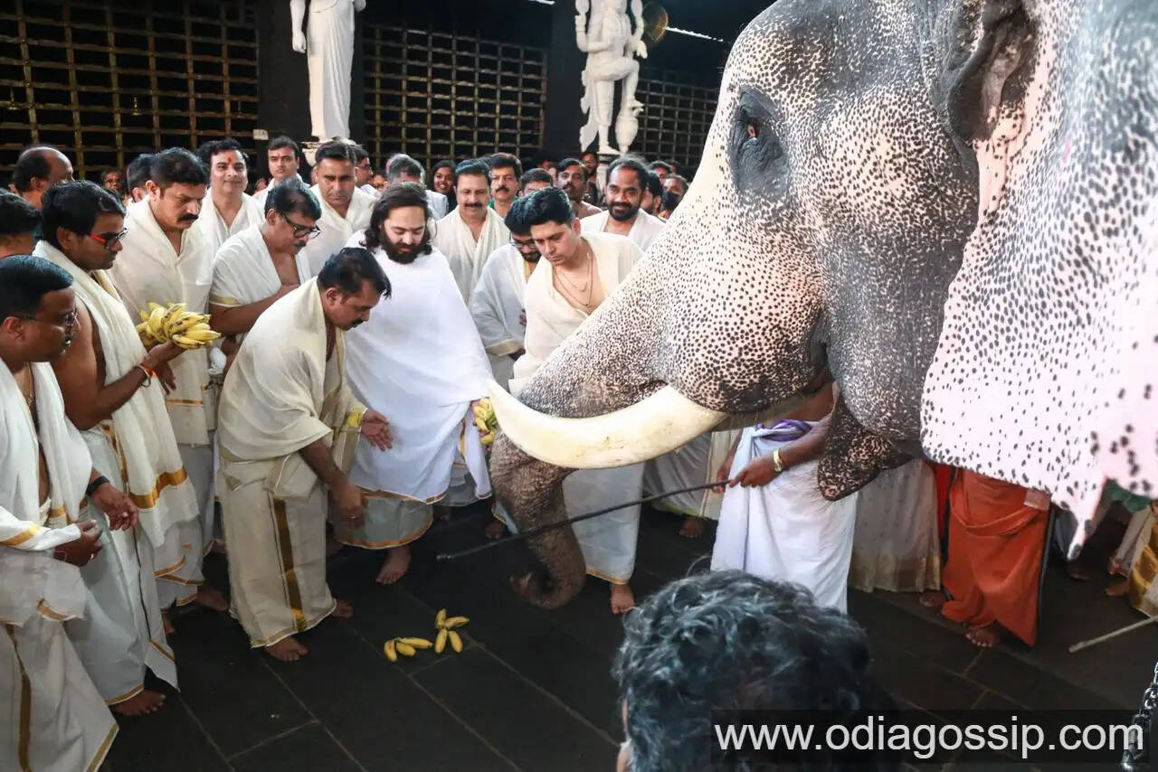 Anant Ambani Announces ₹6 Crore Temple Donations Additional Support for Guruvayur Elephant Welfare