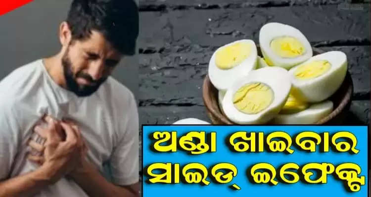 if you have these problems do not eat egg know the details here