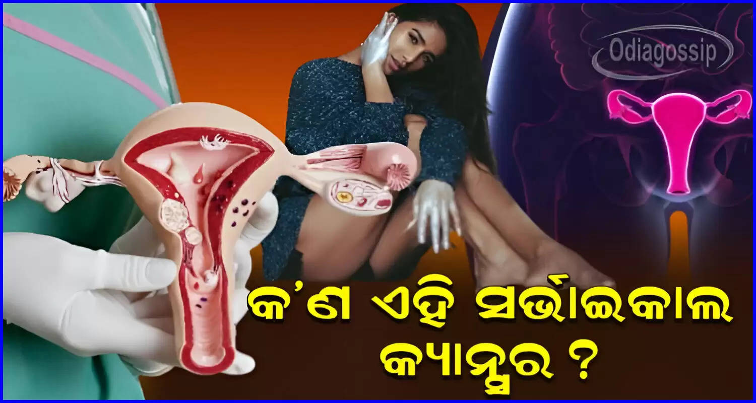 Poonam Pandey Dies Due To Cervical Cancer know symptoms and causes Of This Fatal Disease