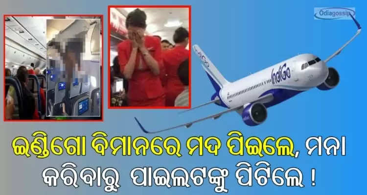 passenger created nuisance in Indigo flight and molested air hostess 