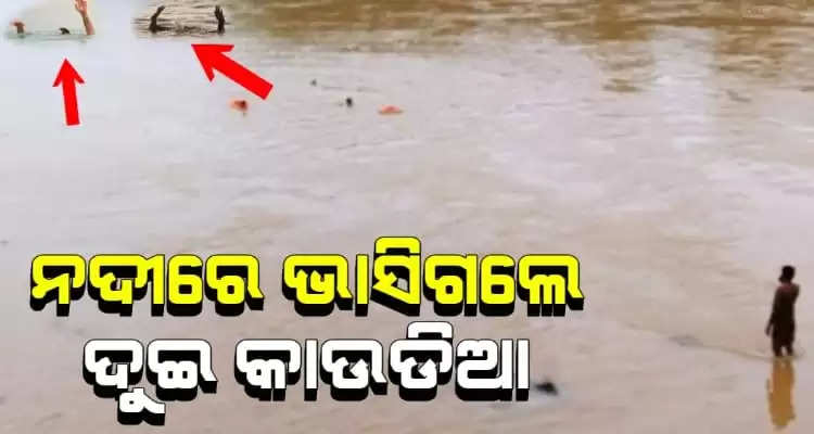 drawing in the river 2 kaudia are missing in baleswar odisha