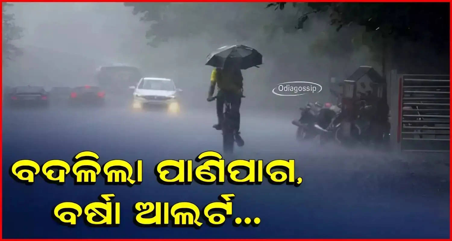 Rainfall alert for 5 days in odisha weather department Yellow alert   to 16 districts 