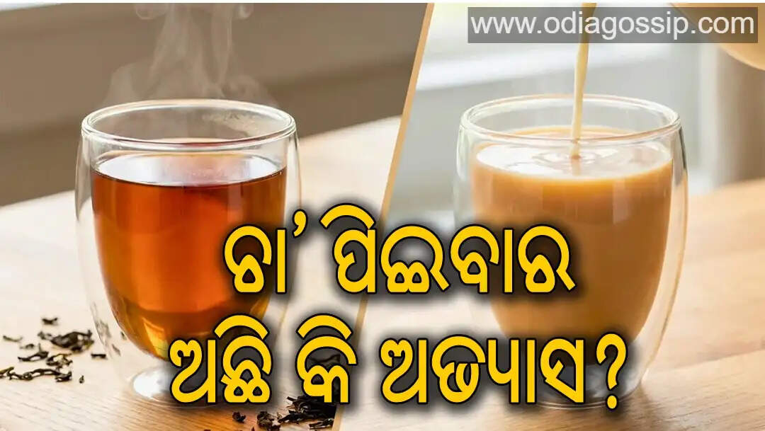 Milk tea or black tea Which is more beneficial for health Find out