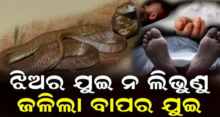 Father and daughter died due to snake bite