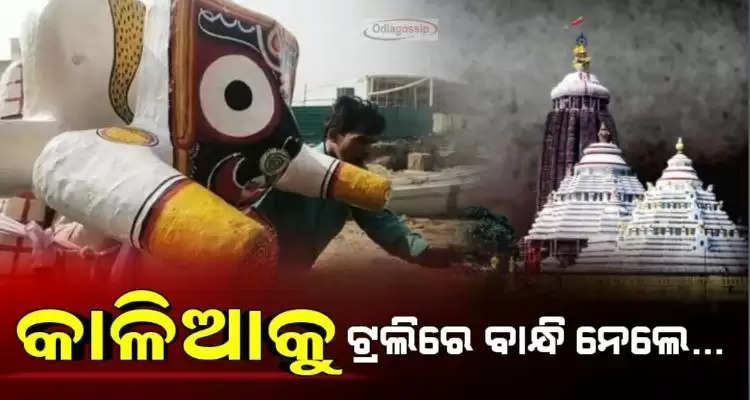 shame on devotees as Lord Jagannath was carried on trolley in Puri