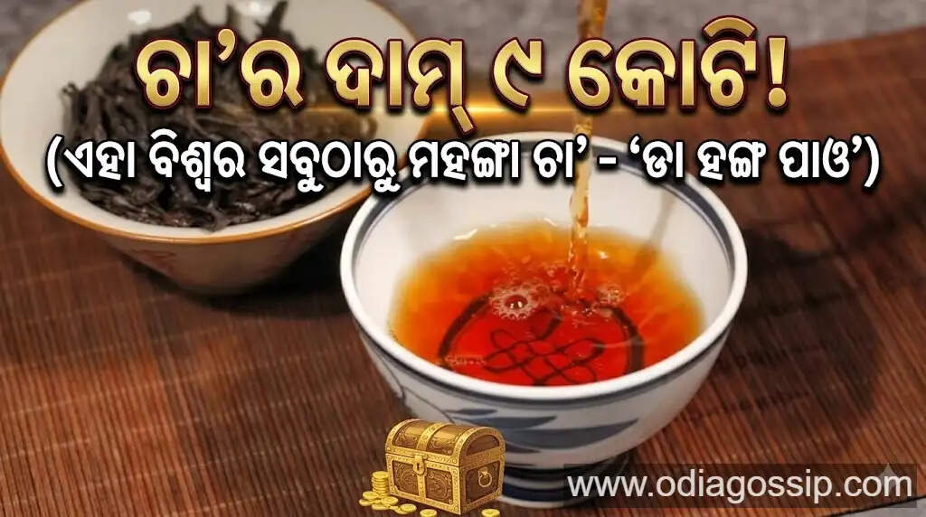 You will be surprised to know that a tea costs 9 crores know what is so special about it