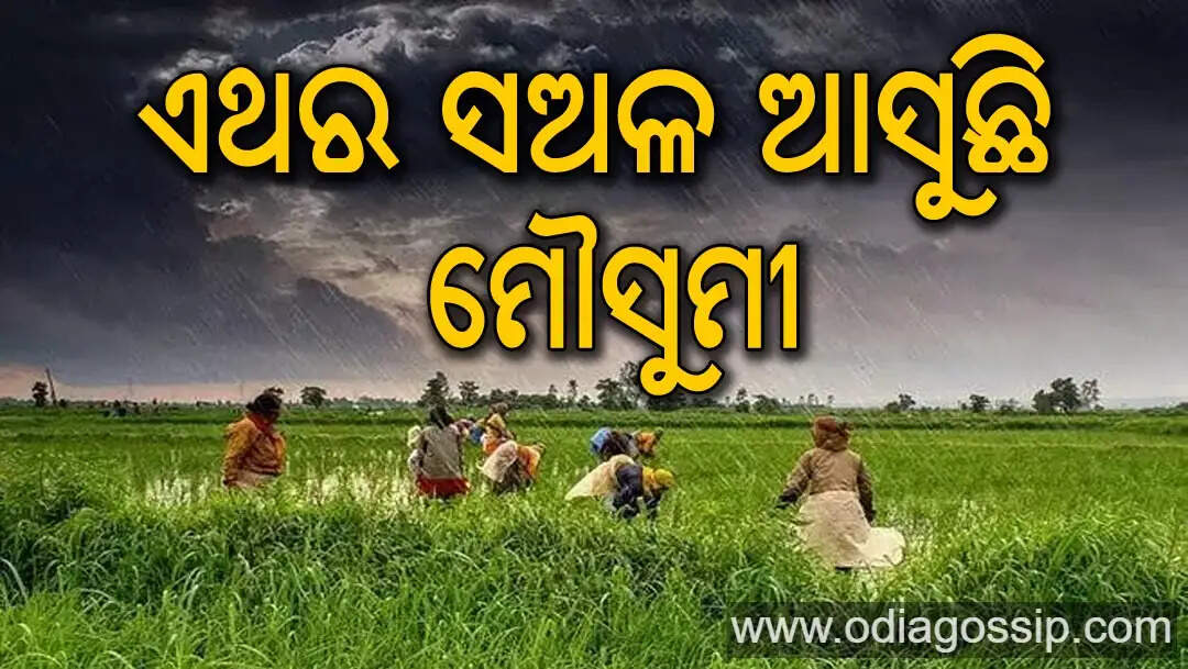 Monsoon to break 35 year record in arrival When will monsoon reach Kerala IMD says date