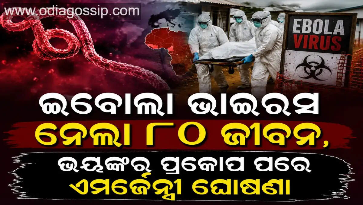 Ebola virus claims 80 lives 246 suspected cases identified emergency declared after severe outbreak