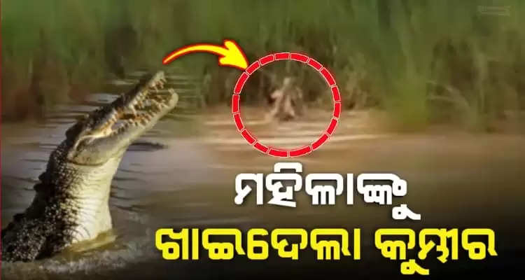 Woman dies as crocodile drags her into river in Odishas Jajpur
