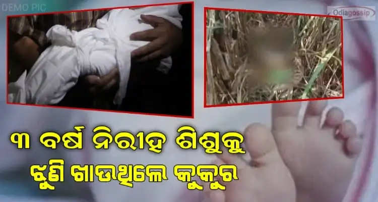 3 years old boy killed deadbody found from field