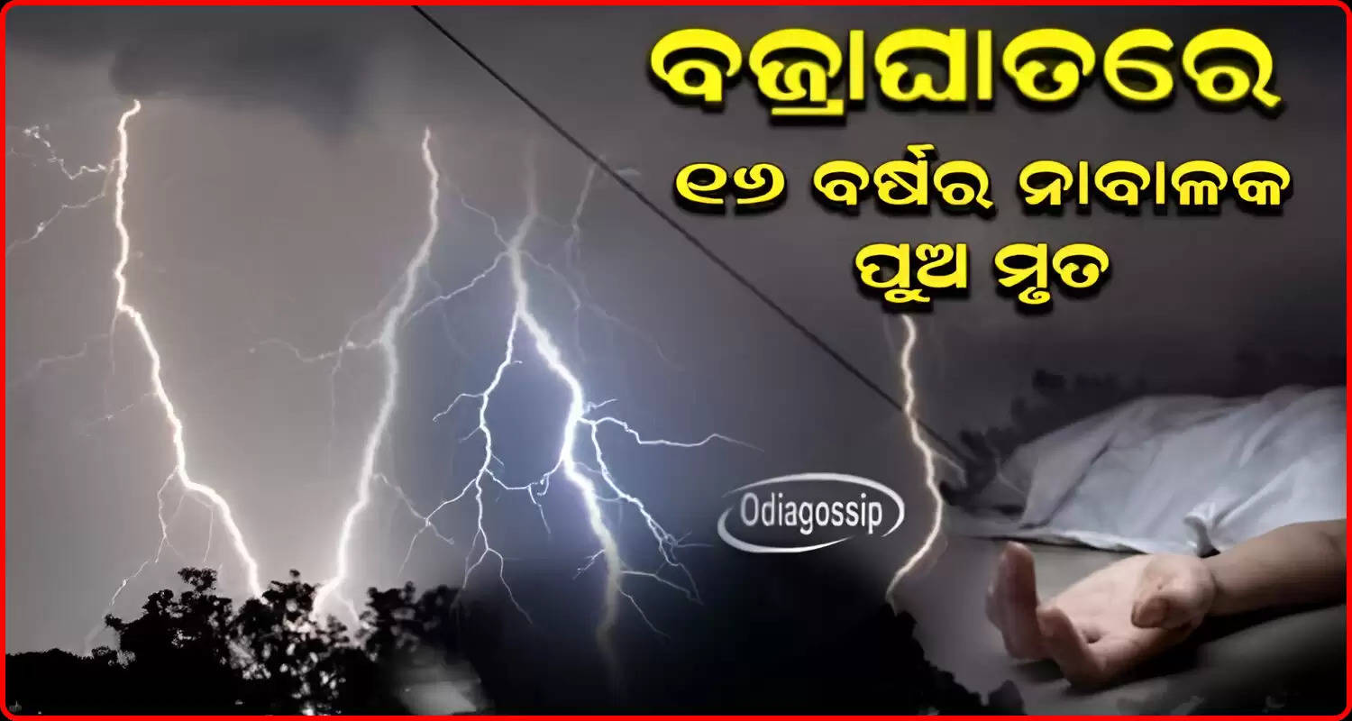 Lightning Kills Minor In Odisha