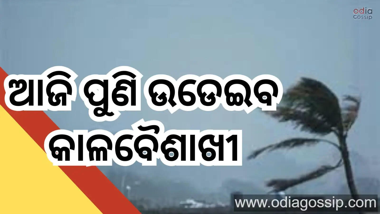 Odisha Weather Today Kalabaisakhi Effect On Today Yellow Warning For 20 Districts
