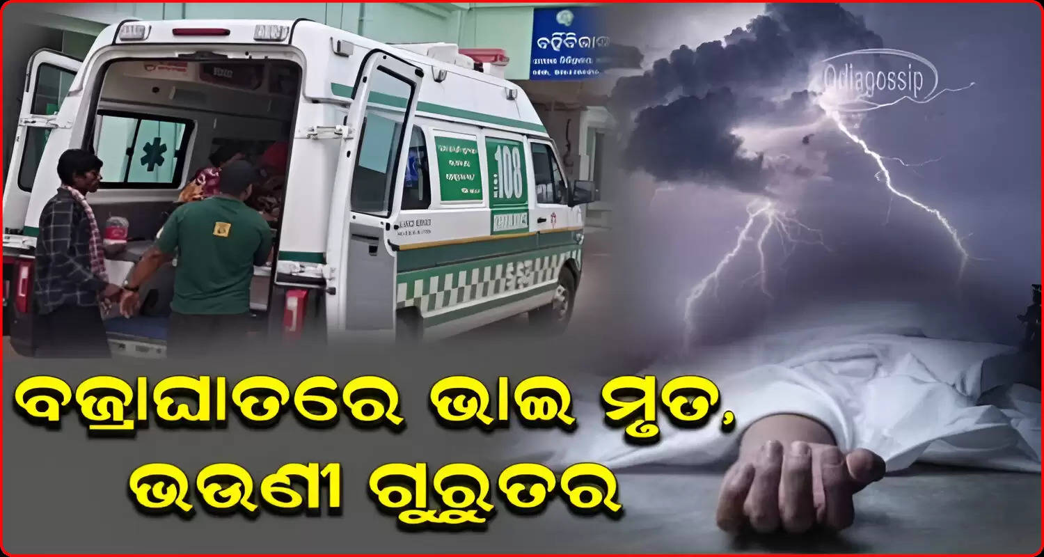 Brother Killed Sister Critical In Lightning Strike In Odishas Kandhamal
