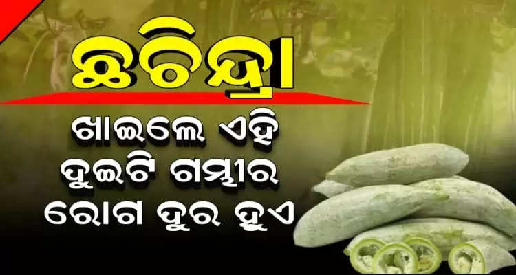 know the health benefits of snake gourd