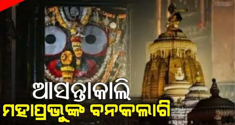 No Darshan Of Lord Jagannath At Puri Shrine For 4 Hours Tomorrow