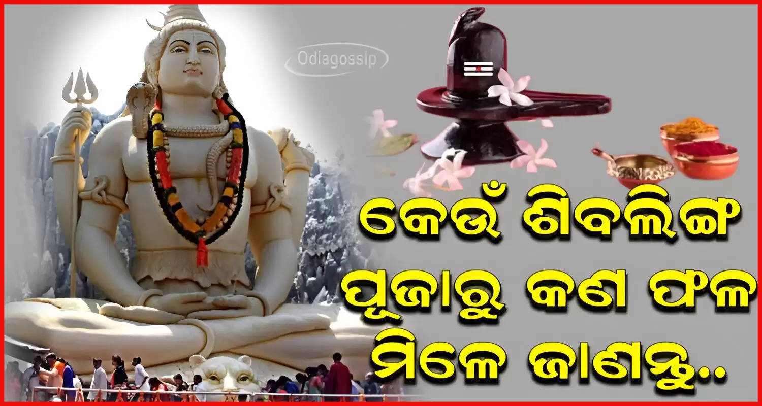 What is the result of worshiping which shivling Know details