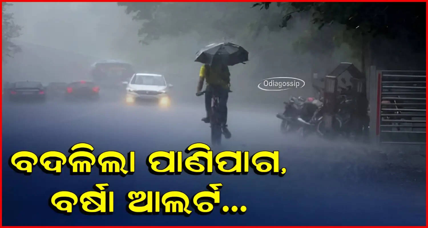 Light rain likely in several districts of Odisha for next 3 days