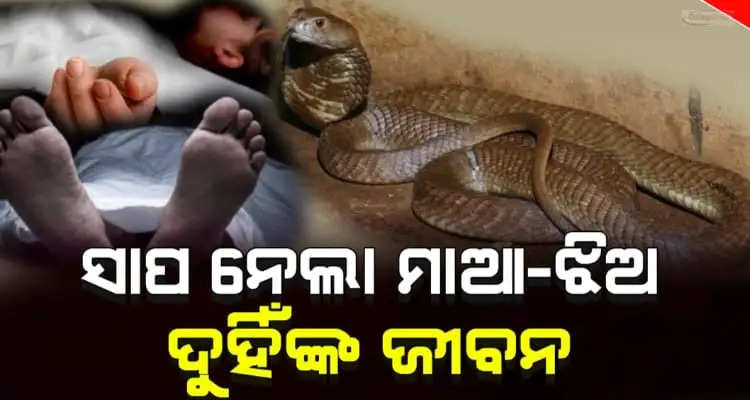 mother and daughter died of snake bites while sleeping at home