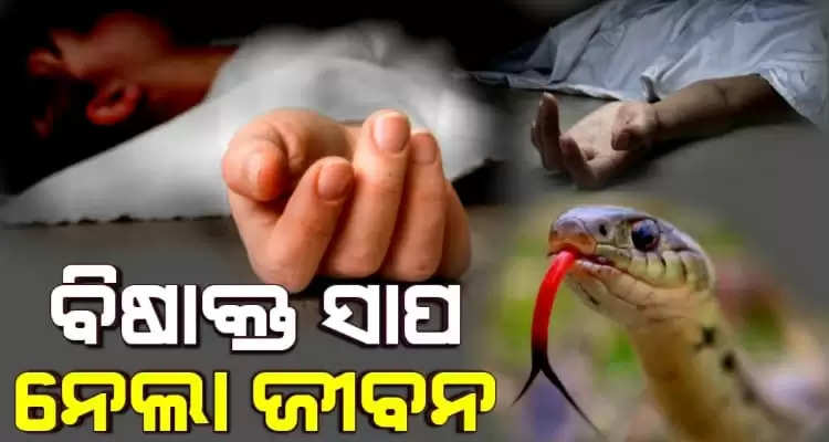 Two kids dead due to snake bite in Odisha