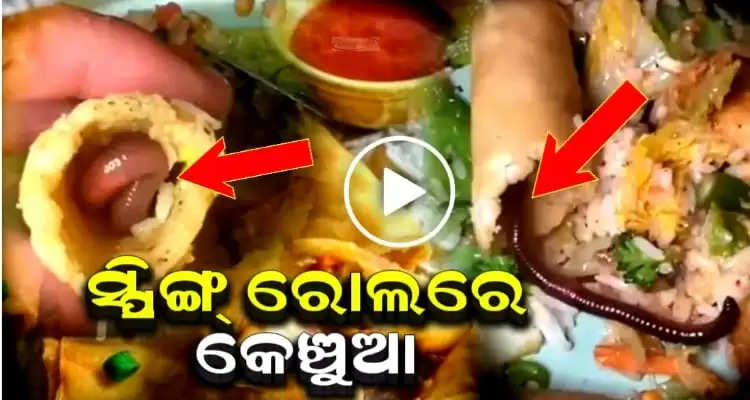 Man Finds Live Worm In Spring Roll People Calls Fake Watch Shocking Video