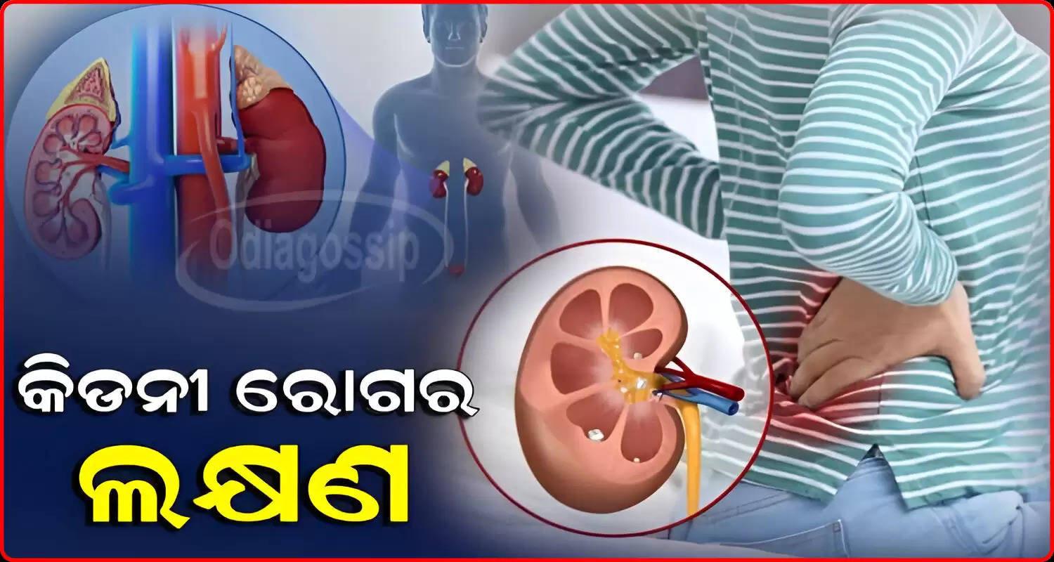 Warning Signs of Kidney Problems