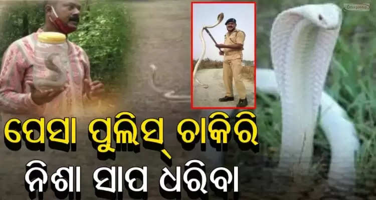 Sonepur Cop Local Hero Pramod Kumar Dasia Turns Snake Catcher