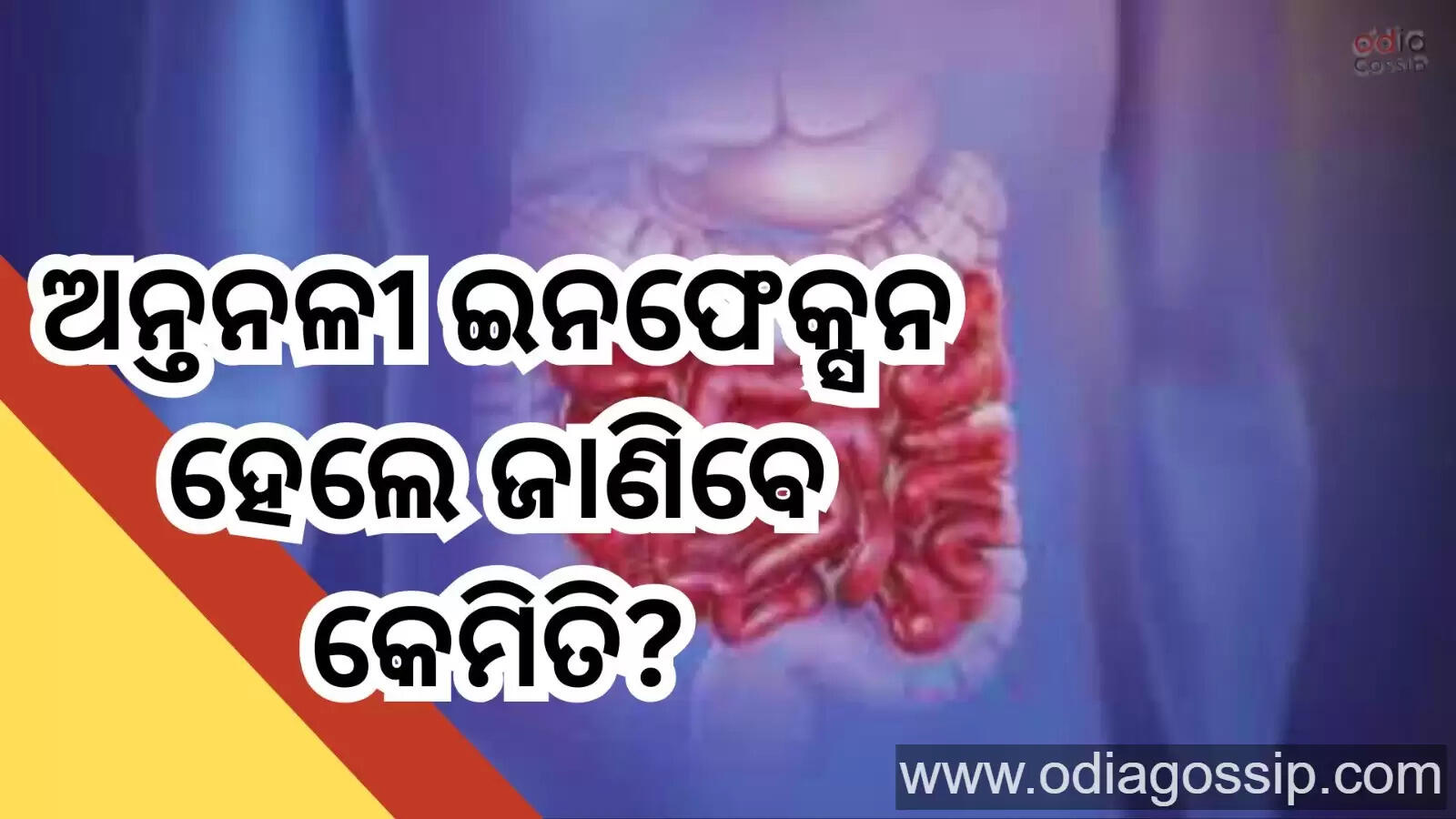 Intestinal Inflammation Symptoms Warning Signs And Know Home Treatments