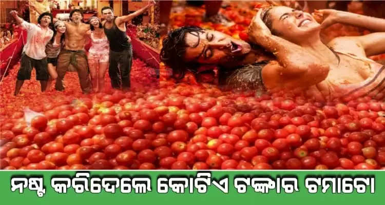 Near about rupees one crore tomato wasted in film making