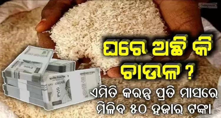 do you have rice in house you can earn more than fifty thousands rupees